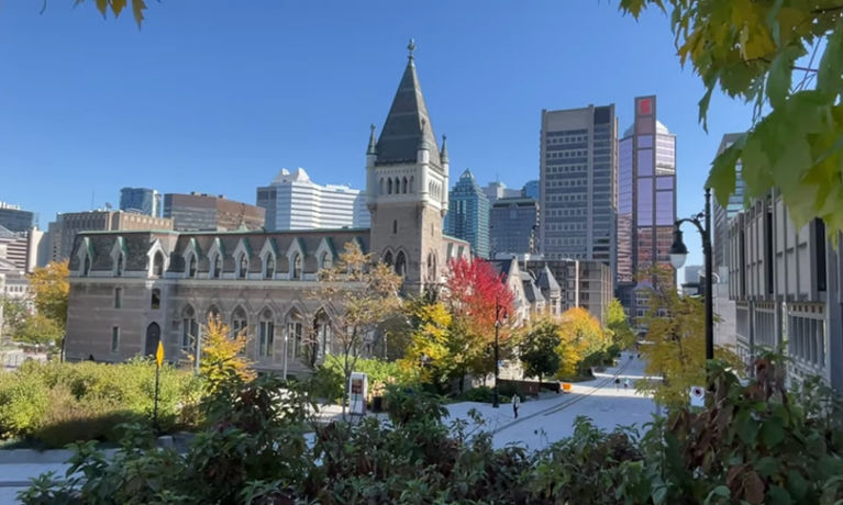 mcgrill4 Student Guide for McGill University